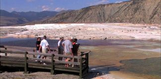 Yellowstone National Park