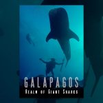 Galapagos: Realm of Giant Sharks