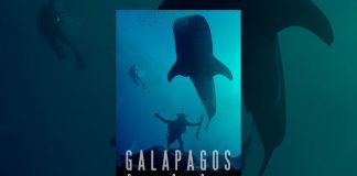 Galapagos: Realm of Giant Sharks