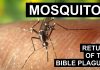 Return of the Bible Plagues: Mosquitoes