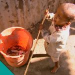 The Food of the Future