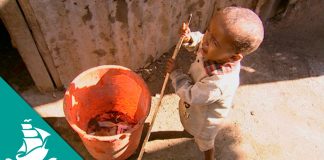 The Food of the Future