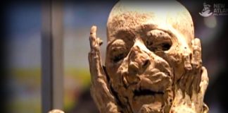 The Precursors of the Inca