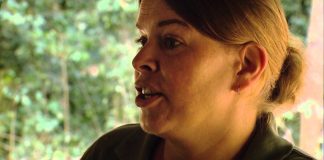 Living amongst Gorillas