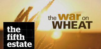 The War on Wheat