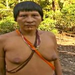 Don Quixote of the Jungle