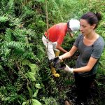 Chevron vs. the Amazon