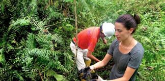 Chevron vs. the Amazon