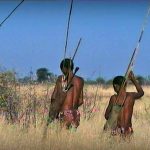 Desert of the Skeletons