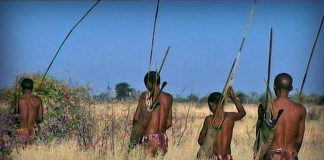 Desert of the Skeletons