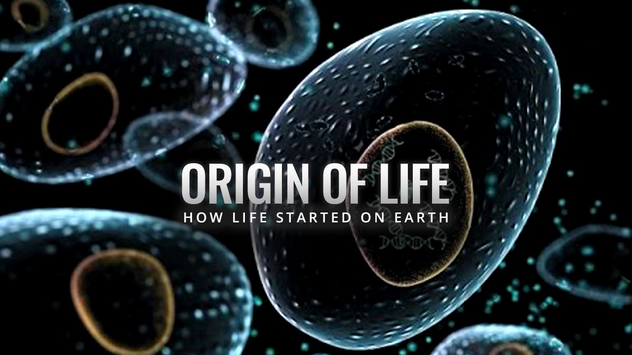 Origin of Life - How Life Started on Earth • Gratis Global