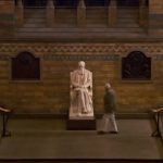 Charles Darwin and the Tree of Life