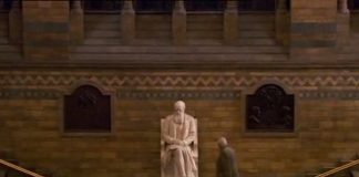 Charles Darwin and the Tree of Life