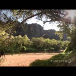 Australia’s First 4 Billion Years: Life Explodes