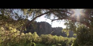 Australia’s First 4 Billion Years: Life Explodes