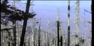 Stopping the Coming Ice Age