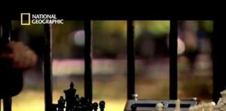 My Brilliant Brain featuring Susan Polgar