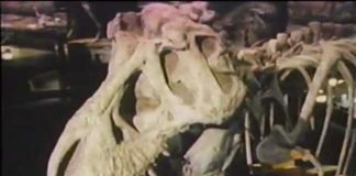 Jurassic Park The True Story