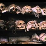 Keep the River on Your Right: A Modern Cannibal Tale