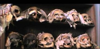 Keep the River on Your Right: A Modern Cannibal Tale