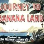 The Century of the Self