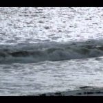 The Worst Jobs in History