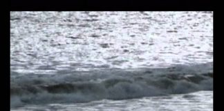 The Worst Jobs in History