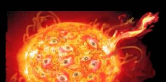 Tool – Vicarious Documentary