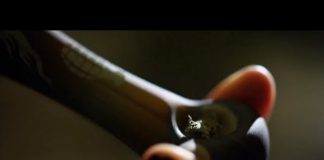 Fault Lines – The high and the mighty