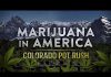 Marijuana in America: Colorado Pot Rush