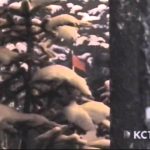 Welcome to North Korea