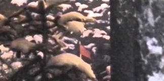 Welcome to North Korea