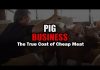 Pig Business