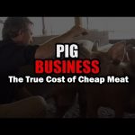 Pig Business