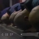 Zen – Principles and Practices