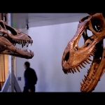 How To Build A Dinosaur