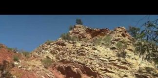 Australia’s First 4 Billion Years: Awakening