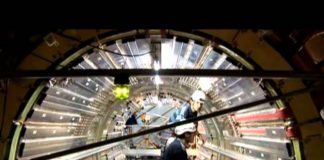 The Cosmos: A Beginner’s Guide