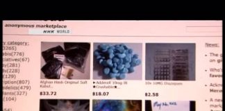 The Impact of the Bitcoin