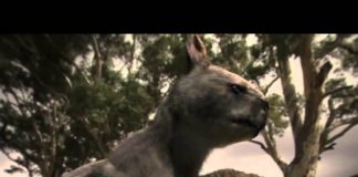 Australia’s First 4 Billion Years: Strange Creatures