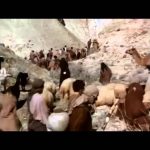 Giants The Mystery And The Myth