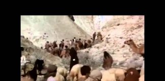 Giants The Mystery And The Myth