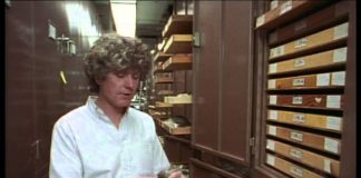 Paleoworld – Flight Of The Pterosaurs