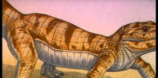 Paleoworld – Ancient Crocodiles