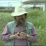 Paleoworld – Dinos In The Air