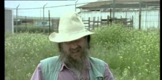 Paleoworld – Dinos In The Air