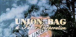 Green Gold, Trees & Paper Production