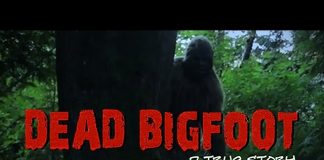 Dead Bigfoot: A True Story
