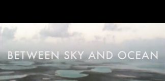 Between Sky and Ocean