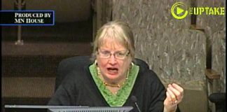 What’s Killing Our Bees